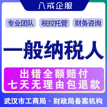武漢公司注冊,代理記賬,稅務咨詢