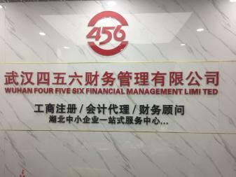 武漢稅務(wù)報(bào)賬咨詢(xún)與代理服務(wù)全解析