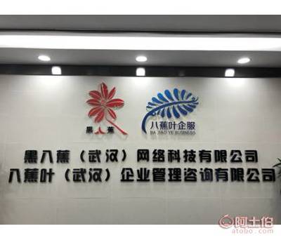 八蕉葉 武漢稅務(wù)代理的專業(yè)伙伴，助力企業(yè)穩(wěn)健成長(zhǎng)